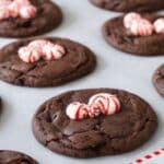 Double Chocolate Peppermint Cookies