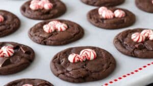 Double Chocolate Peppermint Cookies
